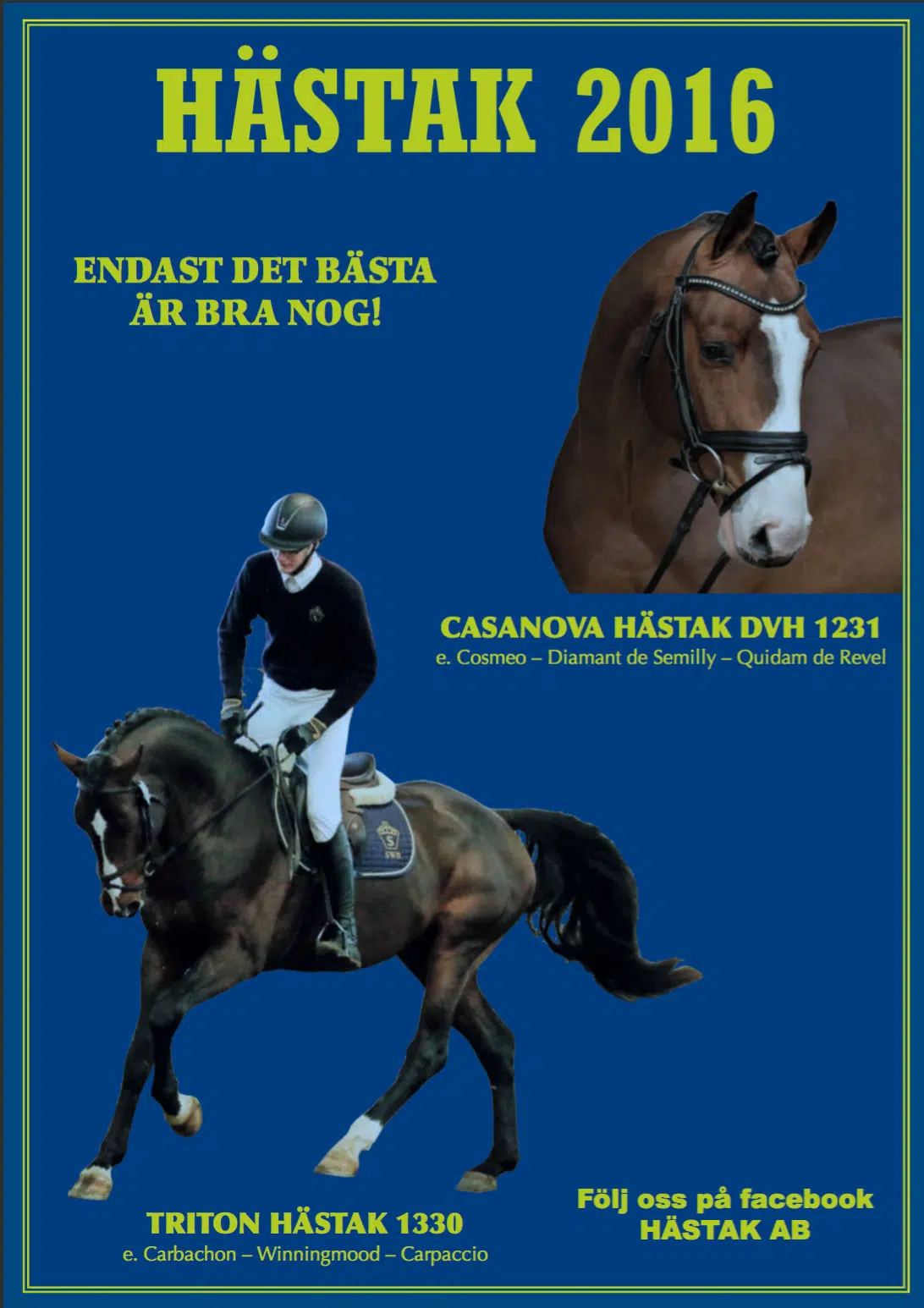 Hingstkatalog-2016-front