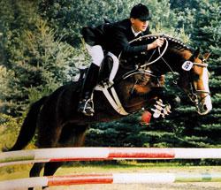 Durello Ridponny hingst